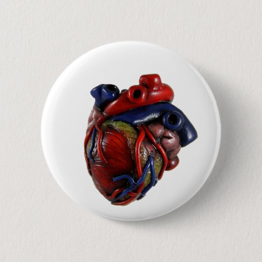 Anatomisches Herz Button (Vorderseite)