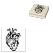 Anatomisches Herz Gummistempel (Stempel)