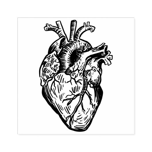Anatomisches Herz Gummistempel (Prägung)
