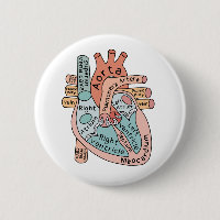 Anatomisches Herz, Herzinfarkt - ICU-Geschenk