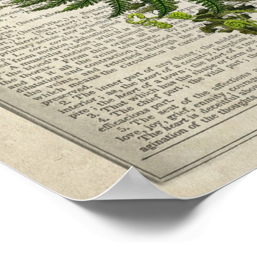 Anatomisches Herz mit Blume & Hummingbird Poster (Ecke)