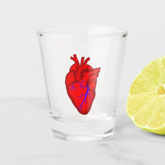Anatomisches Herz Schnapsglas (Vorderseite)