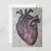 Anatomisches Herz, ursprüngliche Malerei Postkarte (Vorne/Hinten)