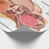 Anatomisches Herzdiagramm Geschenkpapier (Ecke)