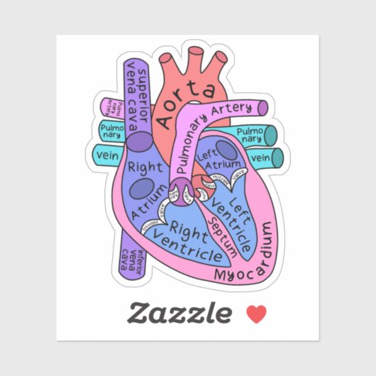 Anatomisches Herzkrankenpflegemittel Aufkleber (Blatt)