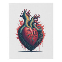 Anatomisches Herzwasser