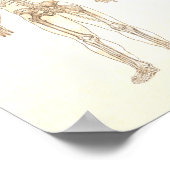 Anatomisches Muskelposter - Anteriore und Posterio Poster (Ecke)