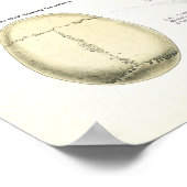 Anatomisches Poster des menschlichen Skeletts (Ecke)