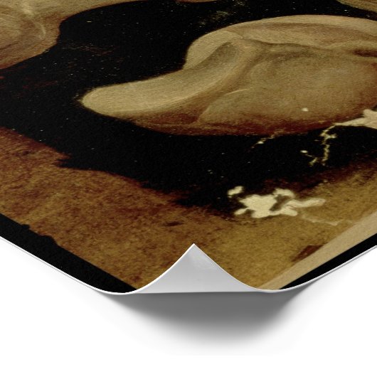 Anatomisches zeichn der Fußknochen Poster (Ecke)