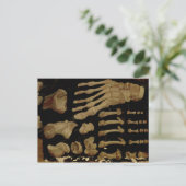 Anatomisches zeichn der Fußknochen Postkarte (Stehend Vorderseite)