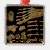 Anatomisches zeichn der Fußknochen Silbernes Ornament (Vorne)