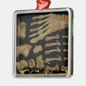 Anatomisches zeichn der Fußknochen Silbernes Ornament (Links)