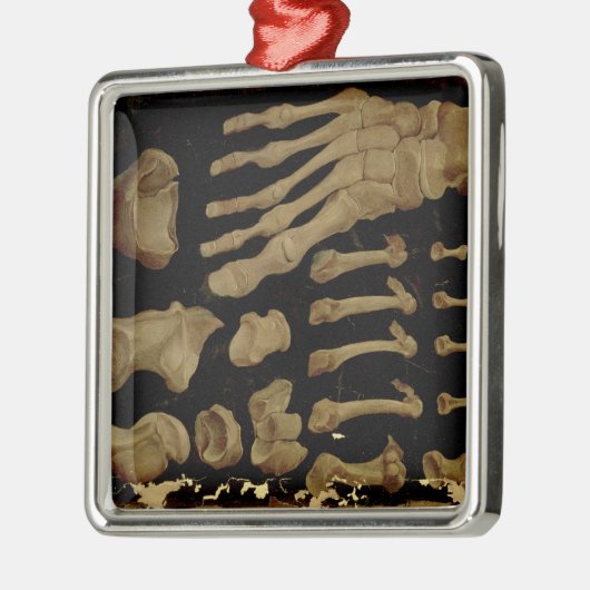 Anatomisches zeichn der Fußknochen Silbernes Ornament (Links)