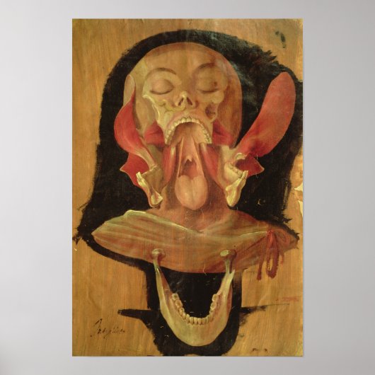 Anatomisches zeichn des Kopfes Poster (Vorne)