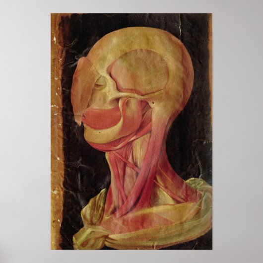 Anatomisches zeichn des menschlichen Kopfes Poster (Vorne)