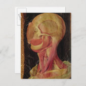 Anatomisches zeichn des menschlichen Kopfes Postkarte (Vorne/Hinten)