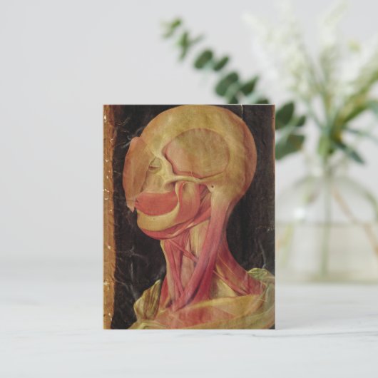 Anatomisches zeichn des menschlichen Kopfes Postkarte (Stehend Vorderseite)