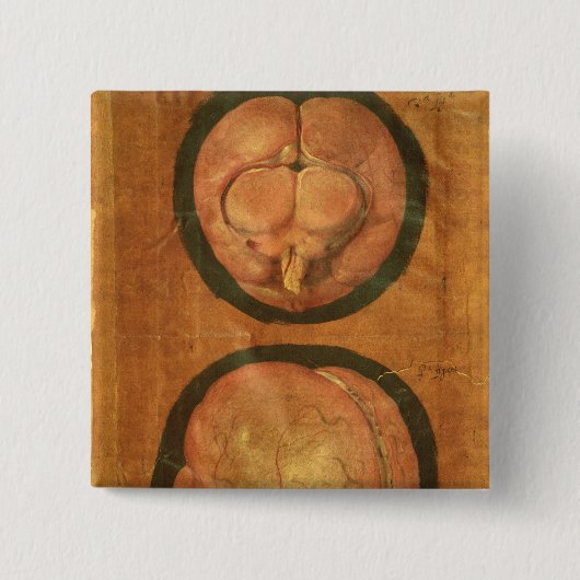 Anatomisches Zeichnen des menschlichen Gehirns Button (Vorderseite)