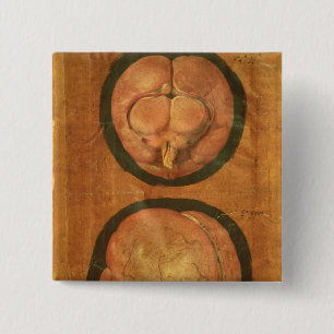 Anatomisches Zeichnen des menschlichen Gehirns Button