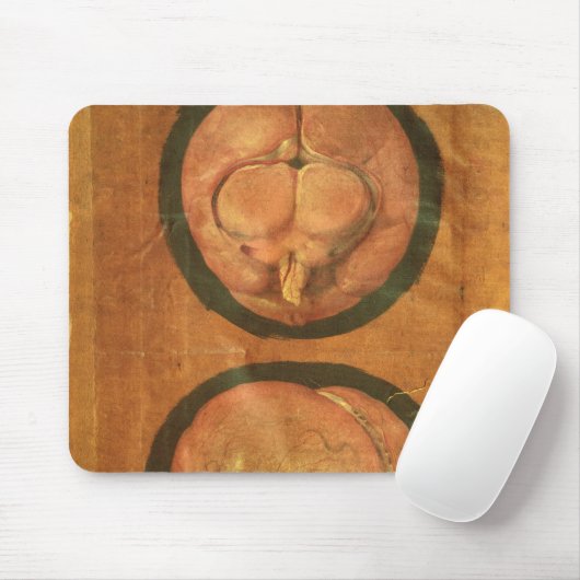 Anatomisches Zeichnen des menschlichen Gehirns Mousepad (Mit Mouse)