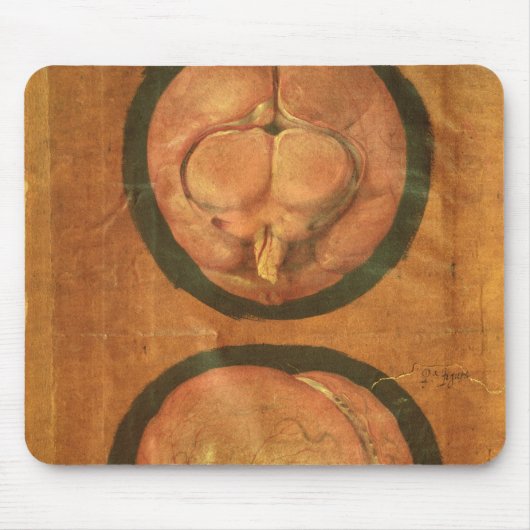 Anatomisches Zeichnen des menschlichen Gehirns Mousepad (Vorne)