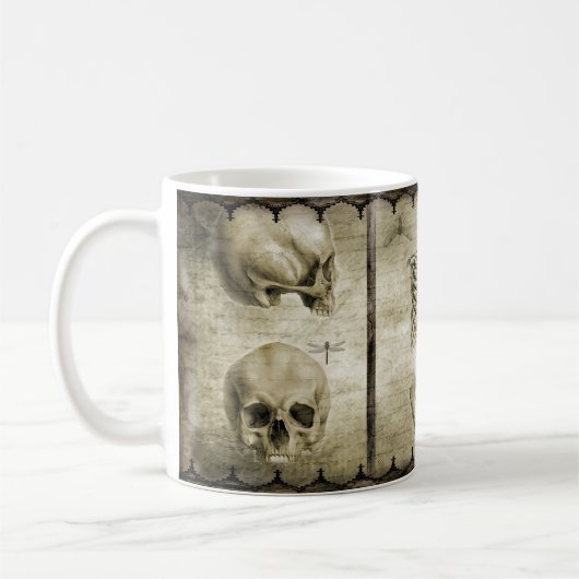 anatomisieren kaffeetasse (Links)