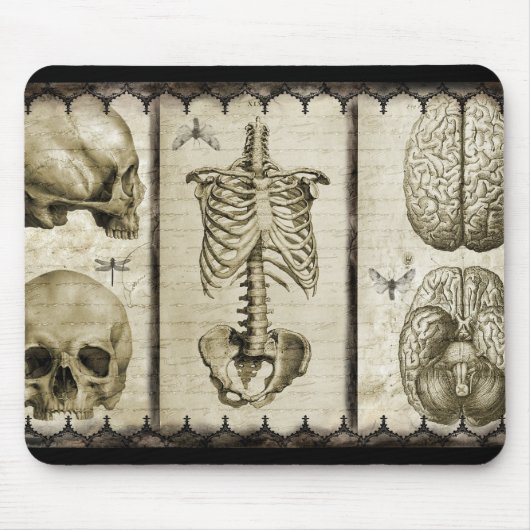 anatomisieren mousepad (Vorne)