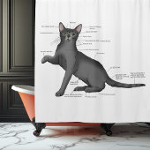 Anatomy Cat Funny Duschvorhang