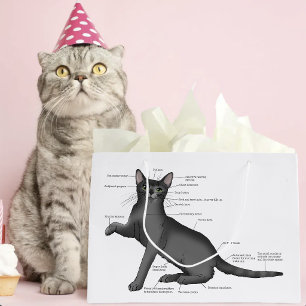 Anatomy Cat Funny Große Geschenktüte