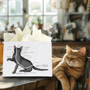 Anatomy Cat Funny Große Geschenktüte