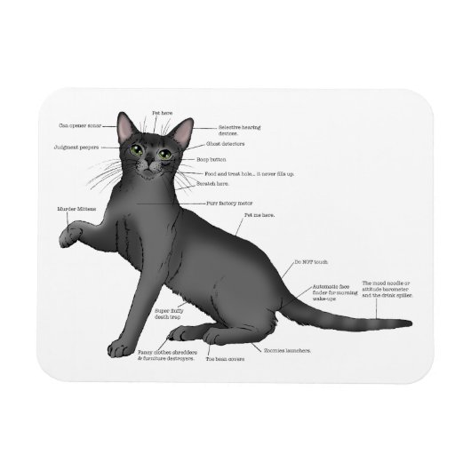 Anatomy Cat Funny Magnet (Horizontal)