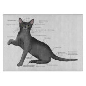 Anatomy Cat Funny Schneidebrett (Vorderseite)