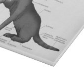 Anatomy Cat Funny Schneidebrett (Ecke)