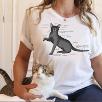 Anatomy Cat Funny