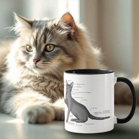 Anatomy Cat Funny Tasse