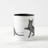 Anatomy Cat Funny Tasse (Zentrum)