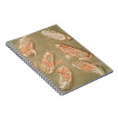 ANATOMY FOOT ANATOMY FOOT MUSCLE ANATOMY BONES LIG NOTIZBLOCK (Rechte Seite)