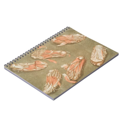 ANATOMY FOOT ANATOMY FOOT MUSCLE ANATOMY BONES LIG NOTIZBLOCK (Linke Seite)