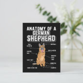 Anatomy Funny Dog Postkarte (Stehend Vorderseite)