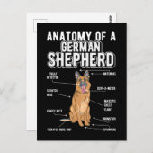 Anatomy Funny Dog Postkarte (Vorne/Hinten)