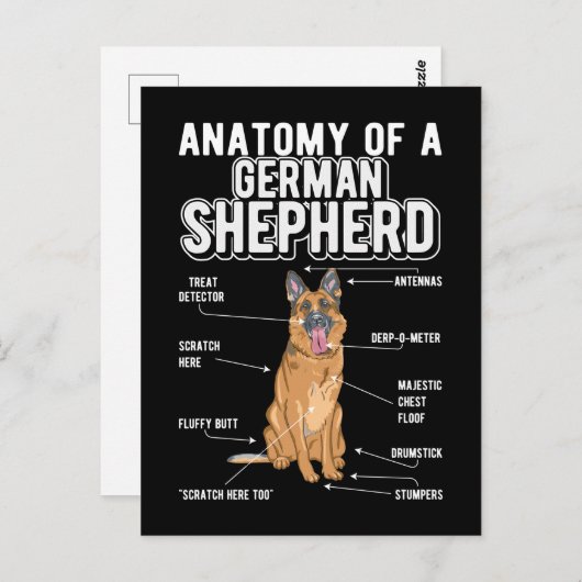 Anatomy Funny Dog Postkarte (Vorne/Hinten)