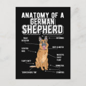 Anatomy Funny Dog Postkarte (Vorderseite)
