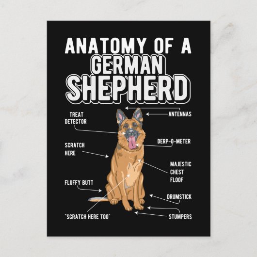 Anatomy Funny Dog Postkarte (Vorderseite)