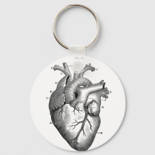 Anatomy-Heart-Images-Vintage Schlüsselanhänger