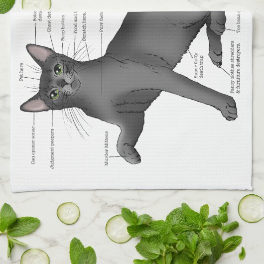 Anatomy of a Cat Geschirrtuch (Gefaltet)