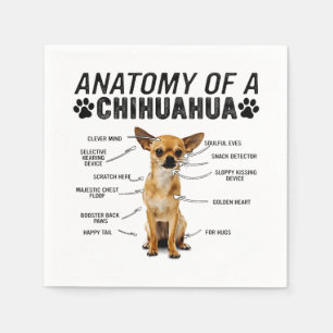 anatomy of a chihuahua dog animals lover owner man serviette