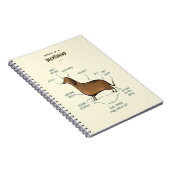 Anatomy Of A Dachshund Dachshund Dog Notizblock (Rechte Seite)