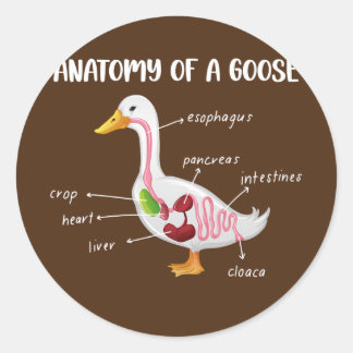 Anatomy Of A Goose Anatomical Doctor Veterinarian Runder Aufkleber