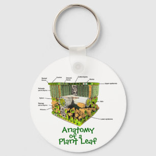 Anatomy of a Plant Leaf key chain Schlüsselanhänger