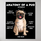 Anatomy of a Pug Poster (Vorne)
